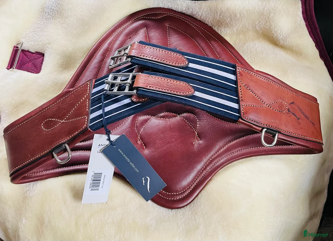 Sadeltillbehör hästutrustning till salu: Ny Antares Magplatta! i Klippan - Annons 2