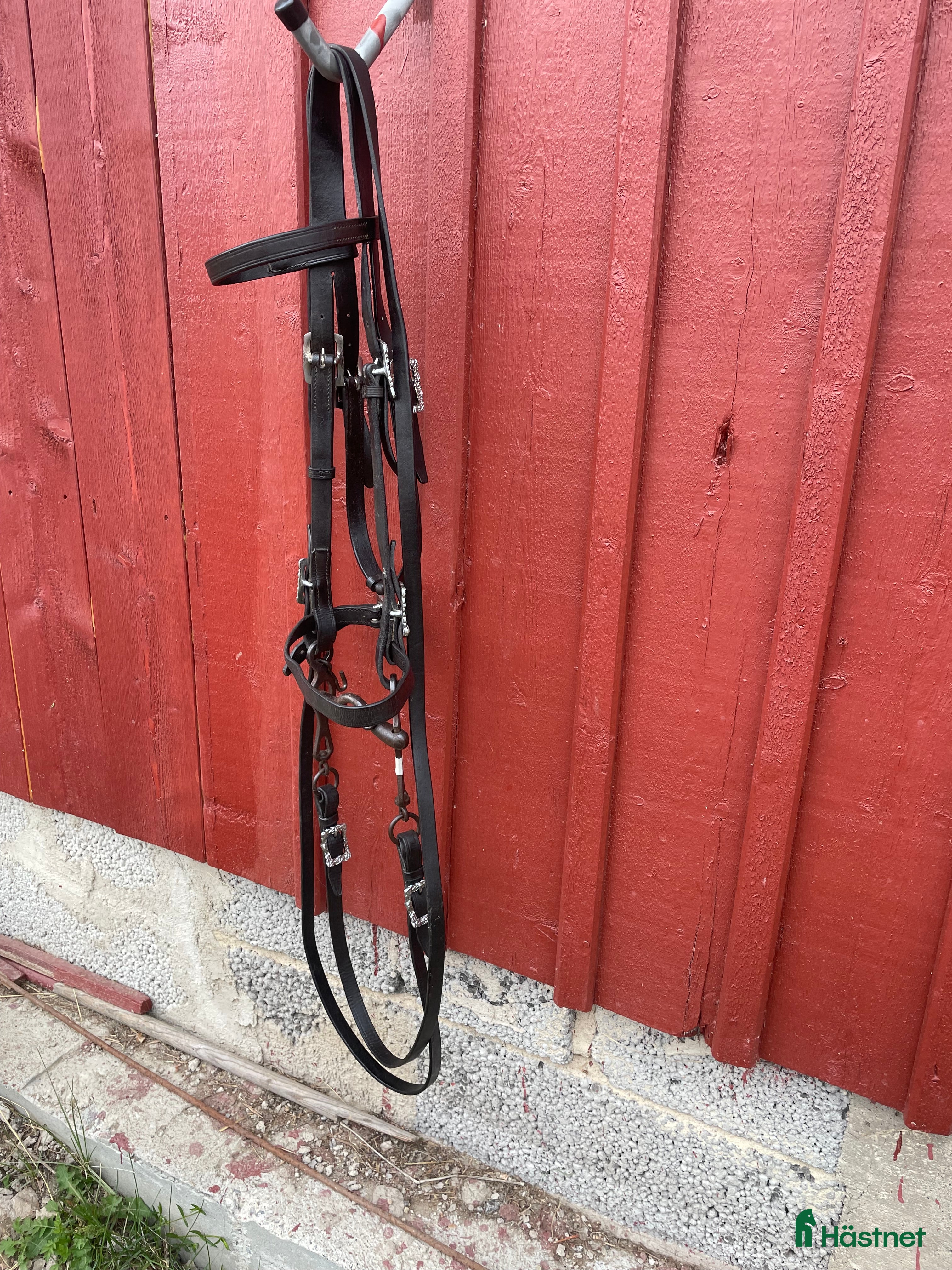 Träns hästutrustning till salu: Akademiskt träns  i Nykvarn - Annons 2