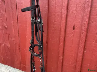 Träns hästutrustning till salu: Akademiskt träns i Nykvarn - Annons 2