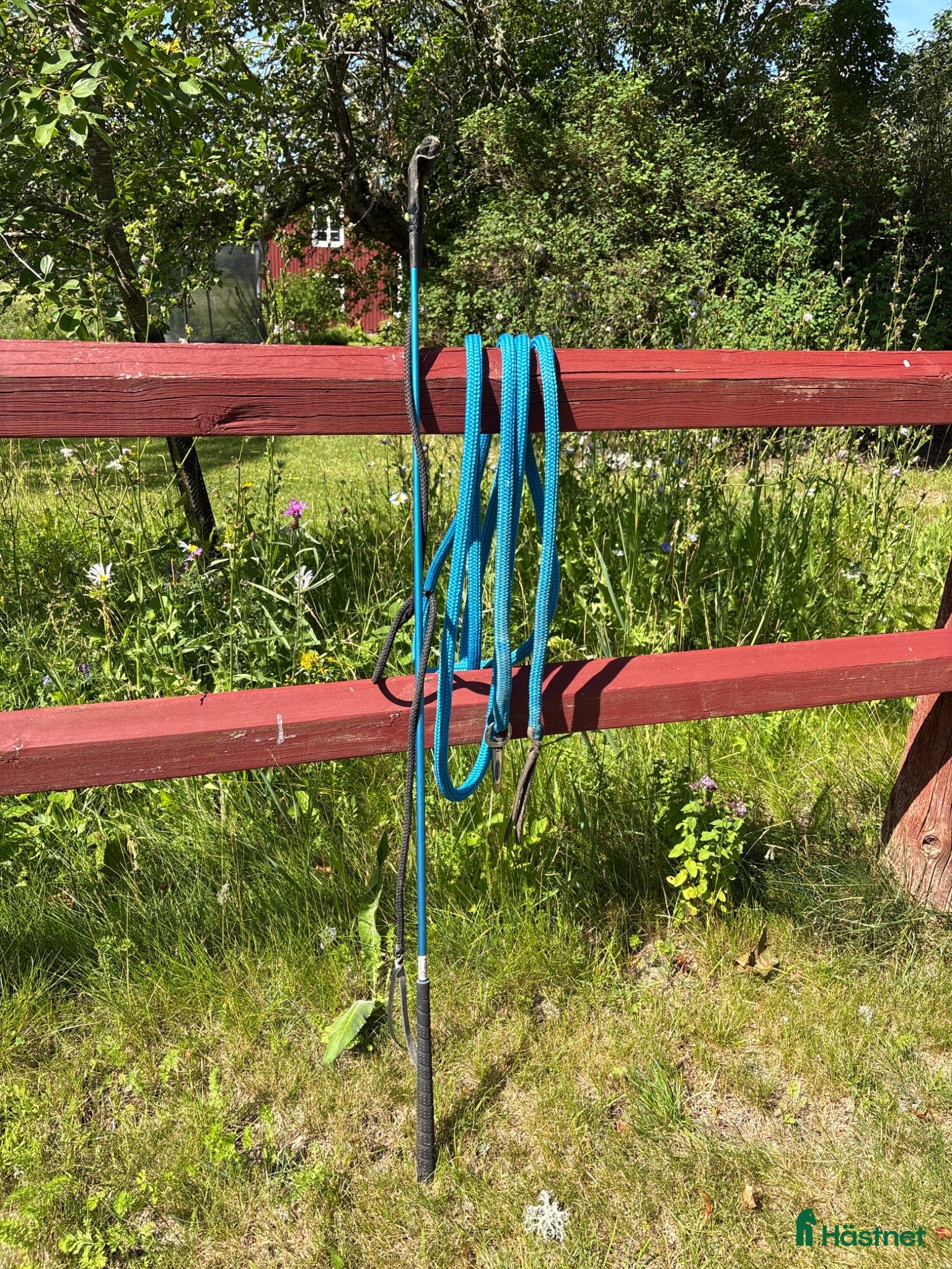 Övrig utrustning övrig utrustning till salu: Carrotstick med rep - Annons 4