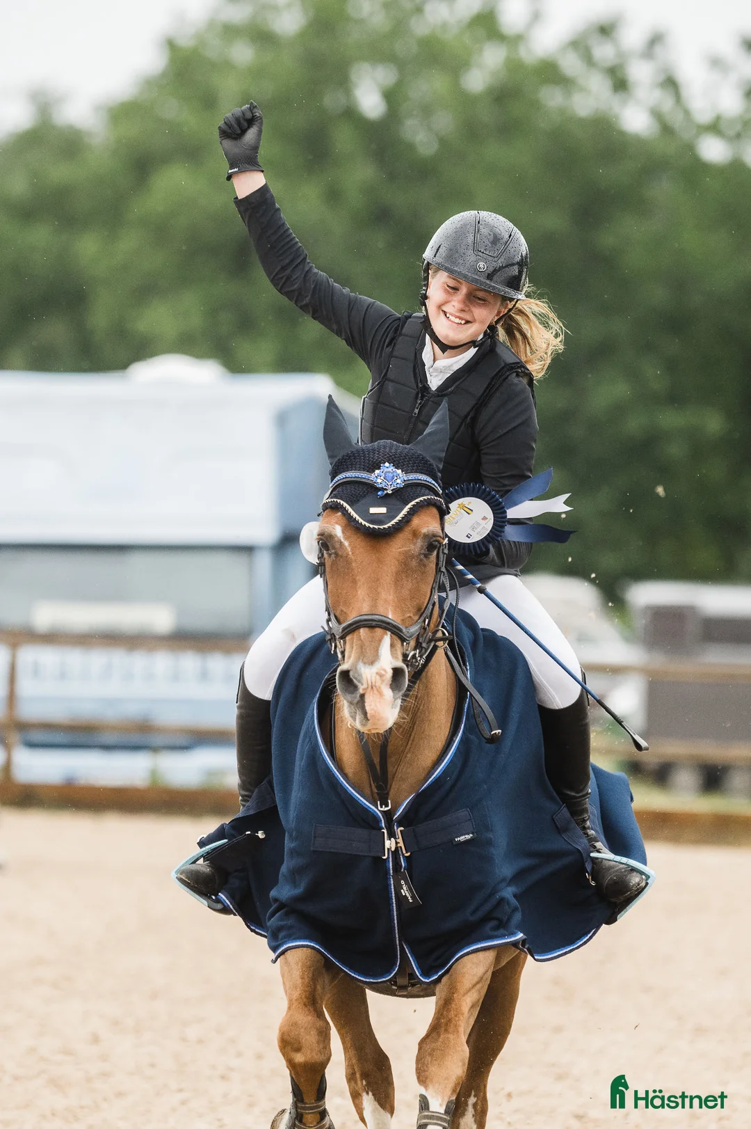 Allround hästar till salu: Läromästare och rosettplockare💕 - Annons 7