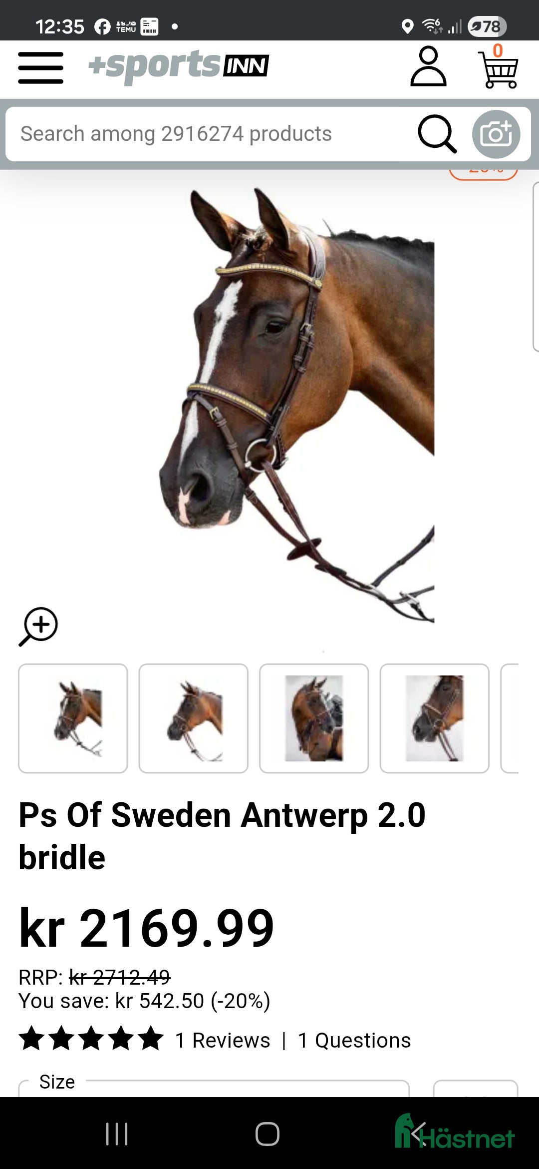 Träns hästutrustning till salu: Ps träns antwerpen i Hackås - Annons 8