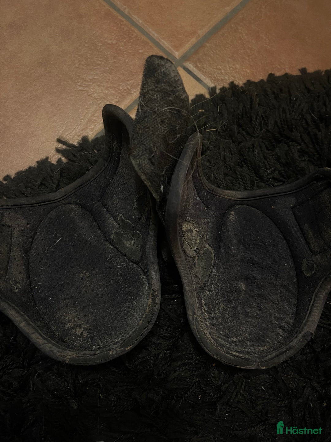 Benskydd hästutrustning till salu: Veredus bakskydd i Luleå - Annons 3