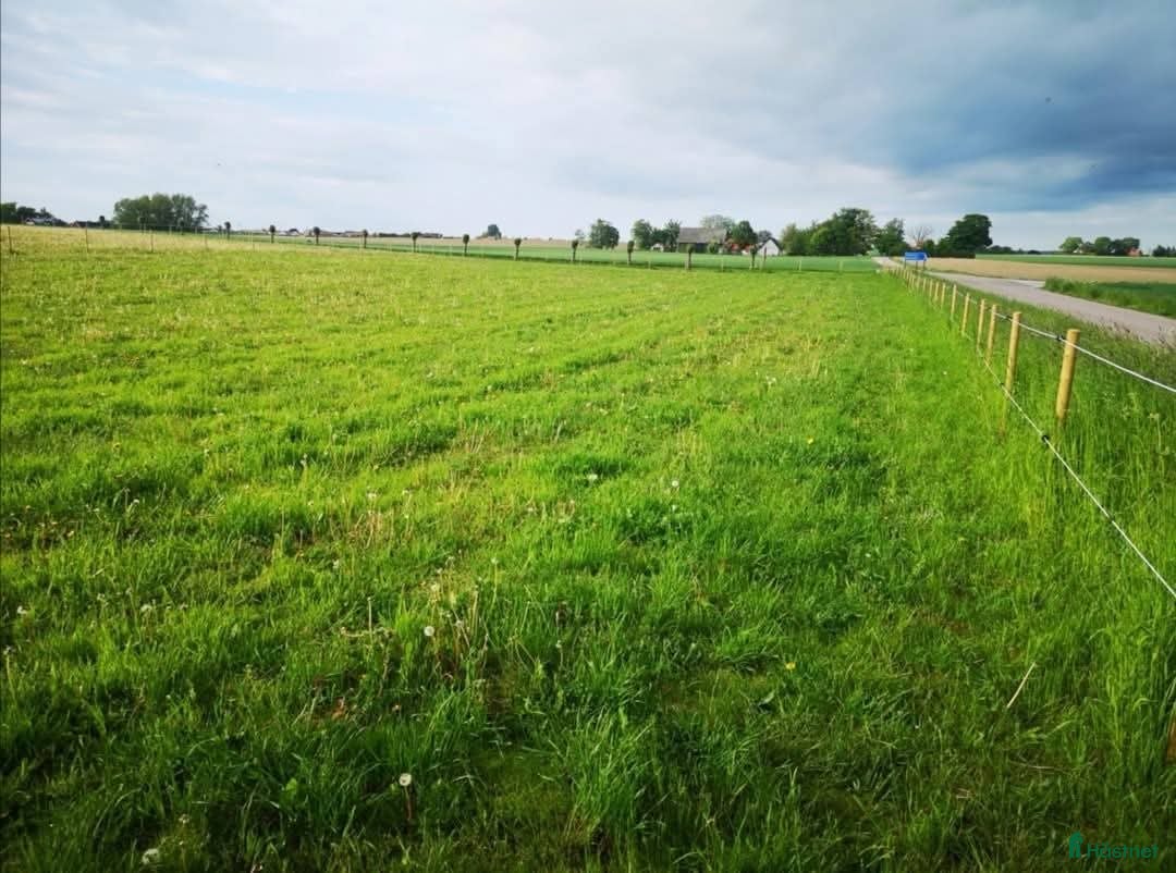  stallplats finnes: Lösdrift  i Skurup - Annons 2