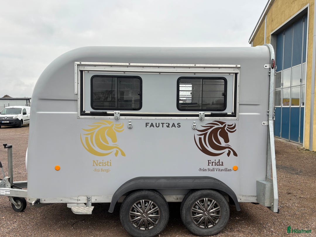 Hästtransporter  fordon & transport till salu: Fautras Icelandic med öppningsbar sida  - Annons 7