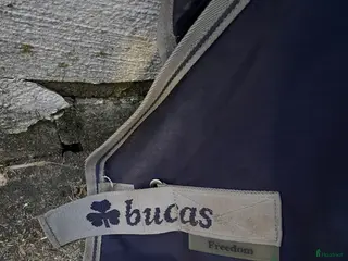 Täcken hästutrustning Bucas regntäcke - Annons 1