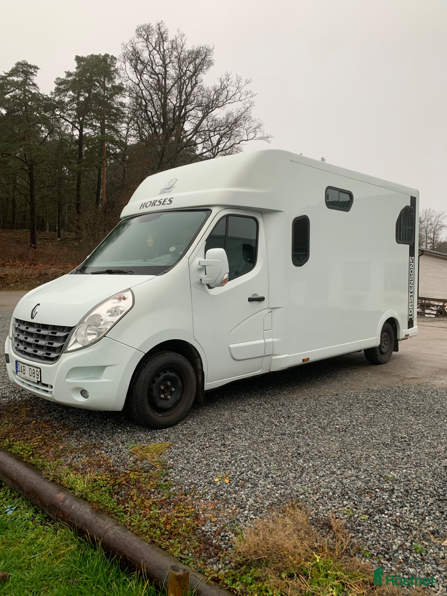 Hästlastbilar  fordon & transport till salu: Fin begagnad B-korts hästbuss - Annons 1