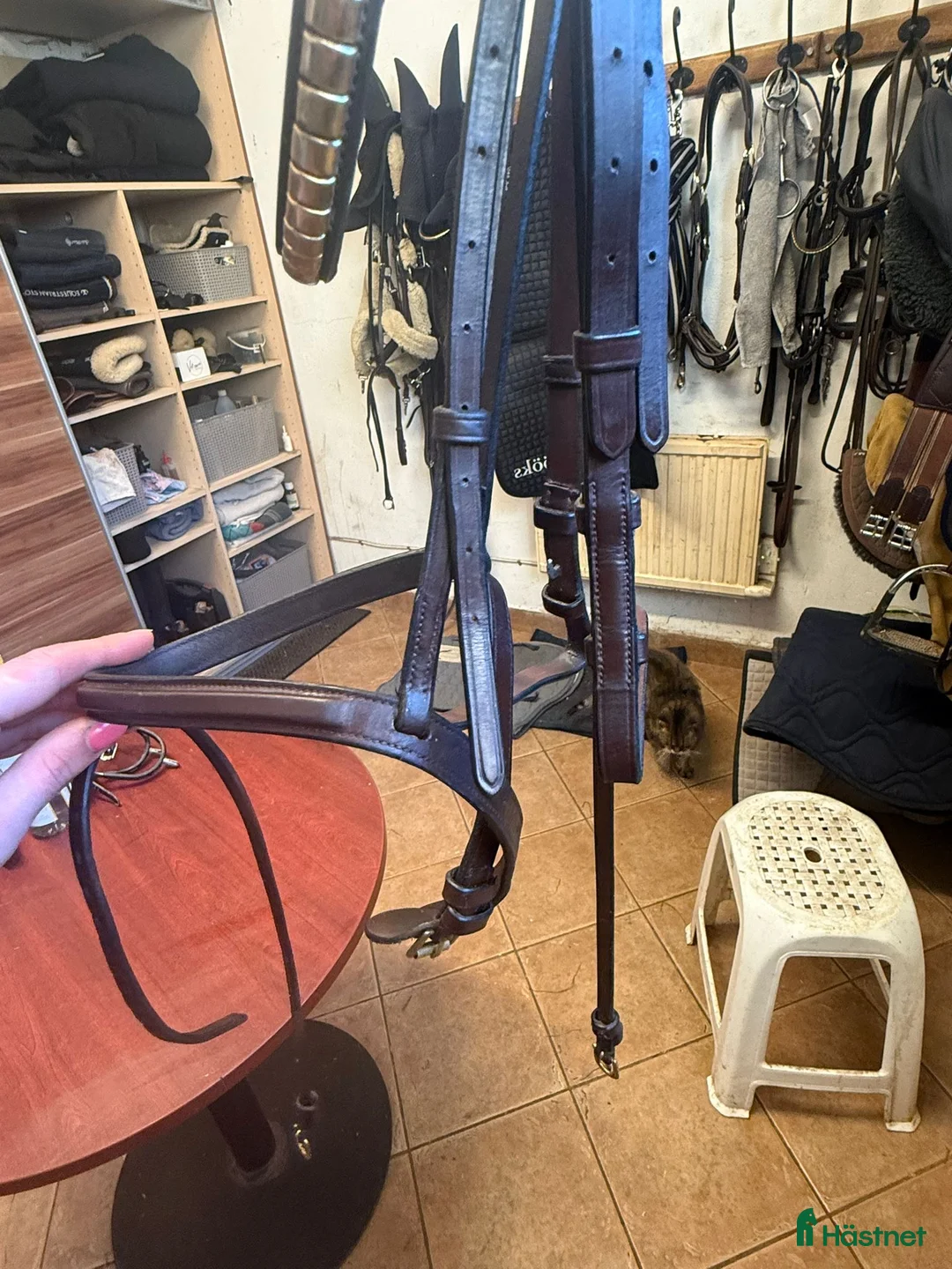 Träns hästutrustning till salu: Dyon träns  - Annons 5