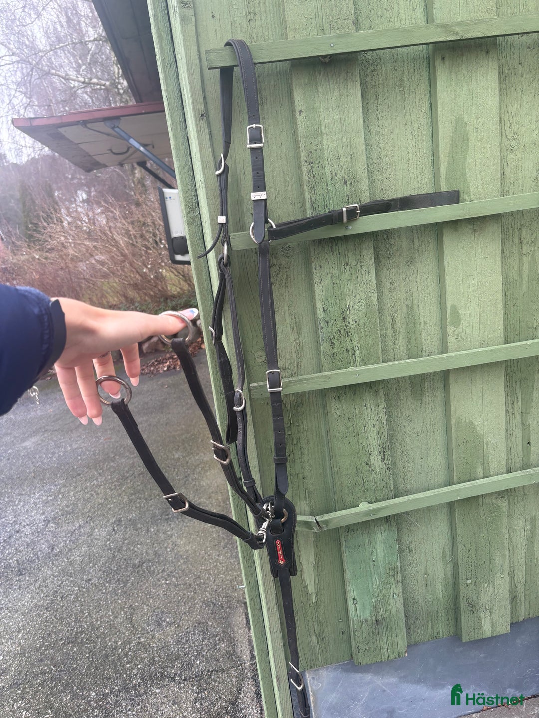 Sadeltillbehör hästutrustning till salu: Equipe förbygel i Genarp - Annons 1