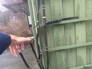 Sadeltillbehör hästutrustning till salu: Equipe förbygel i Genarp - Annons 3