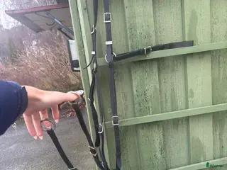 Sadeltillbehör hästutrustning Equipe förbygel i Genarp - Annons 9