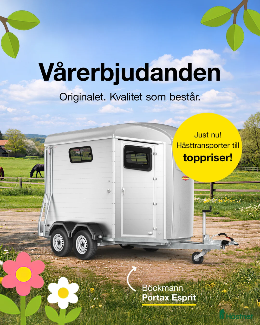 Hästtransporter  fordon & transport till salu: Böckmann Portax Esprit kampanj! - Annons 1