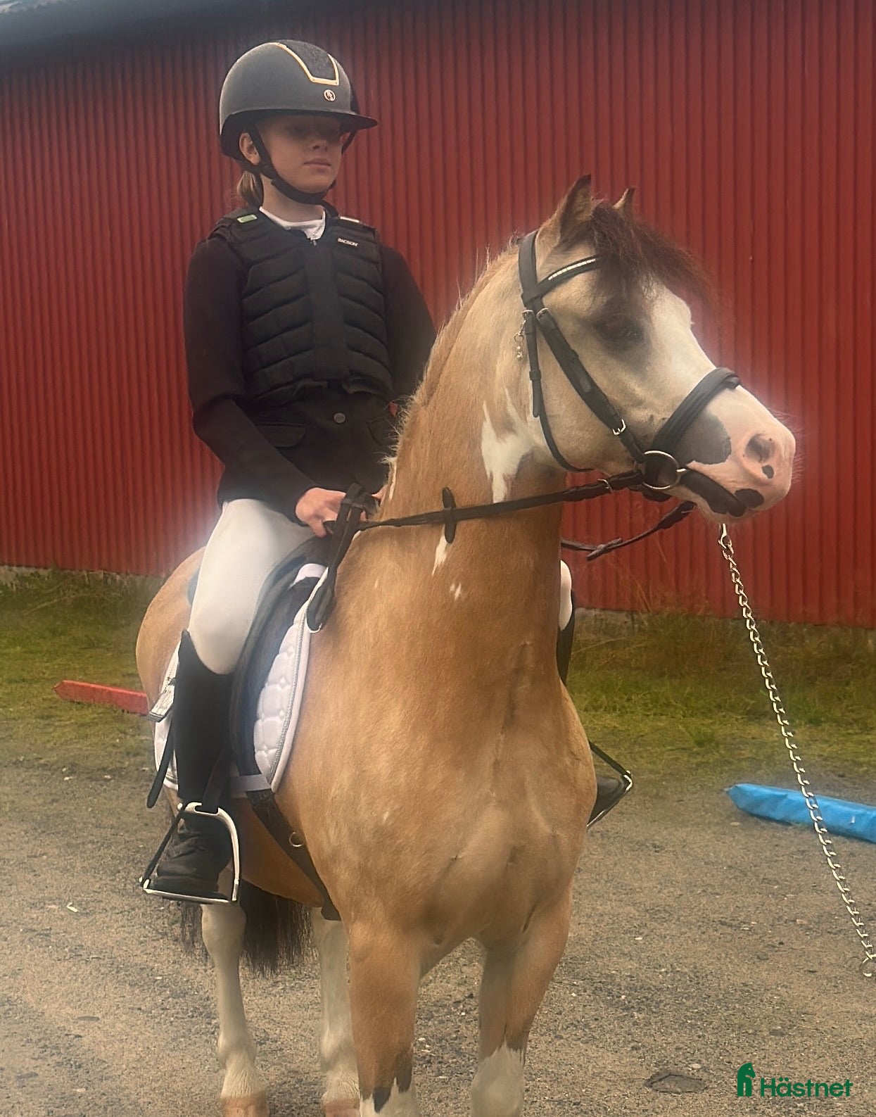  hästar Sötaste och snällaste barnponnyn - Annons 1