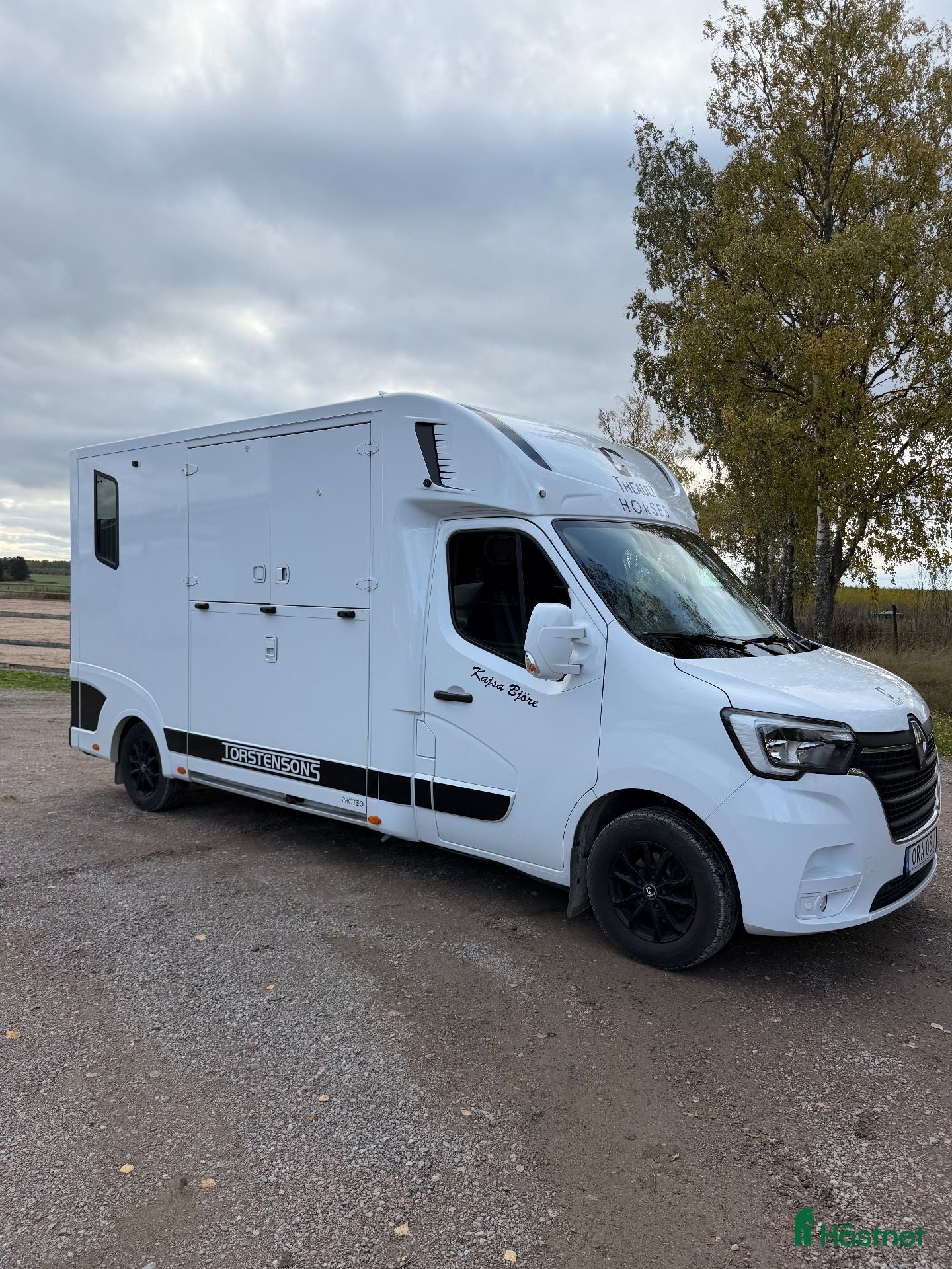 Hästlastbilar  fordon & transport till salu: Theault proteo 3 switch b-kort Hästlastbil  - Annons 4