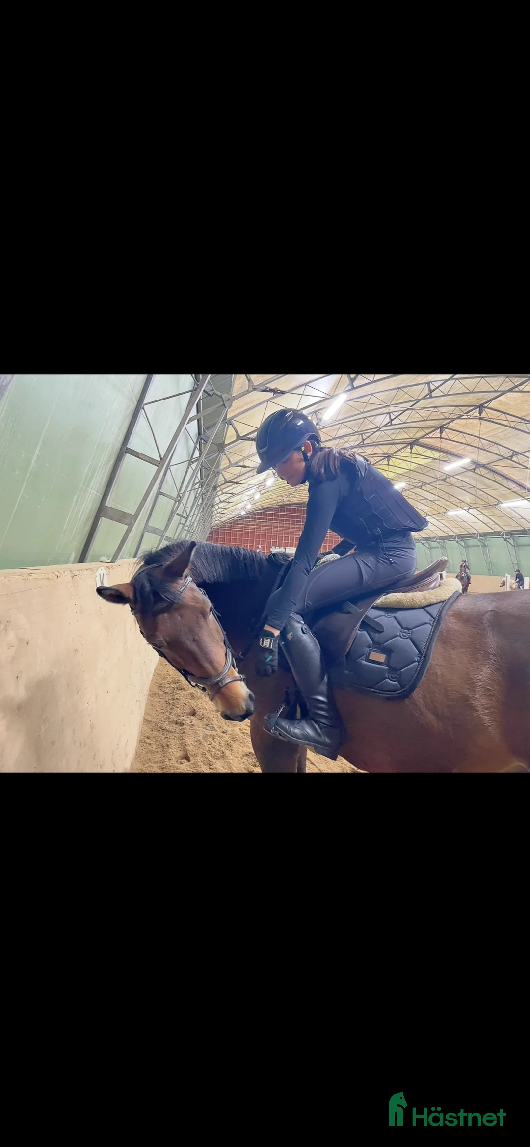 Allround hästar sökes: Söker medryttarhäst⭐️ i Öjersjö - Annons 1