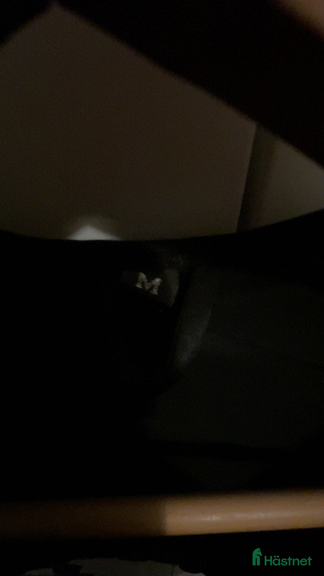 Säkerhetsvästar ryttarutrustning till salu: NÄSTAN NY SÄKERHETSVÄST i Vårgårda - Annons 3