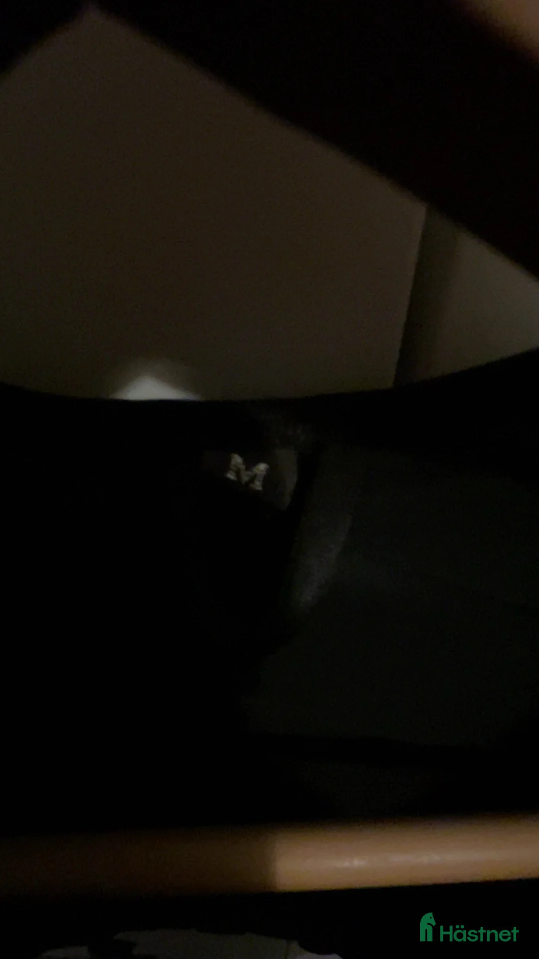 Säkerhetsvästar ryttarutrustning till salu: NÄSTAN NY SÄKERHETSVÄST i Vårgårda - Annons 3