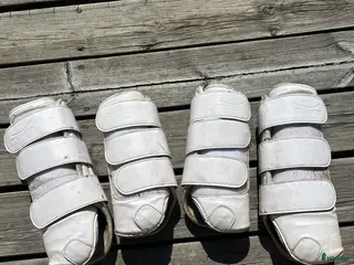 Benskydd hästutrustning Dressyrskydd från Tekna - Annons 3