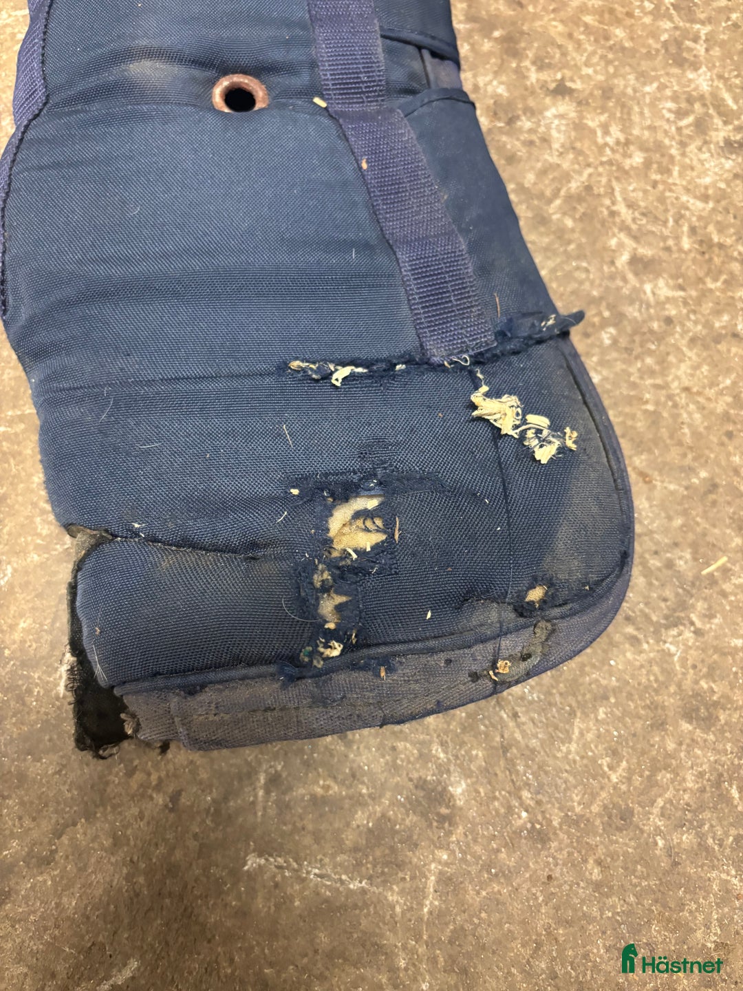 Benskydd hästutrustning till salu: Kingsland transportskydd  i Vinninga - Annons 21