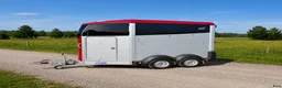 Hästtransporter  fordon & transport till salu: Ifor Willams HBX 403 ( TILLFÄLLE)  - Annons 2