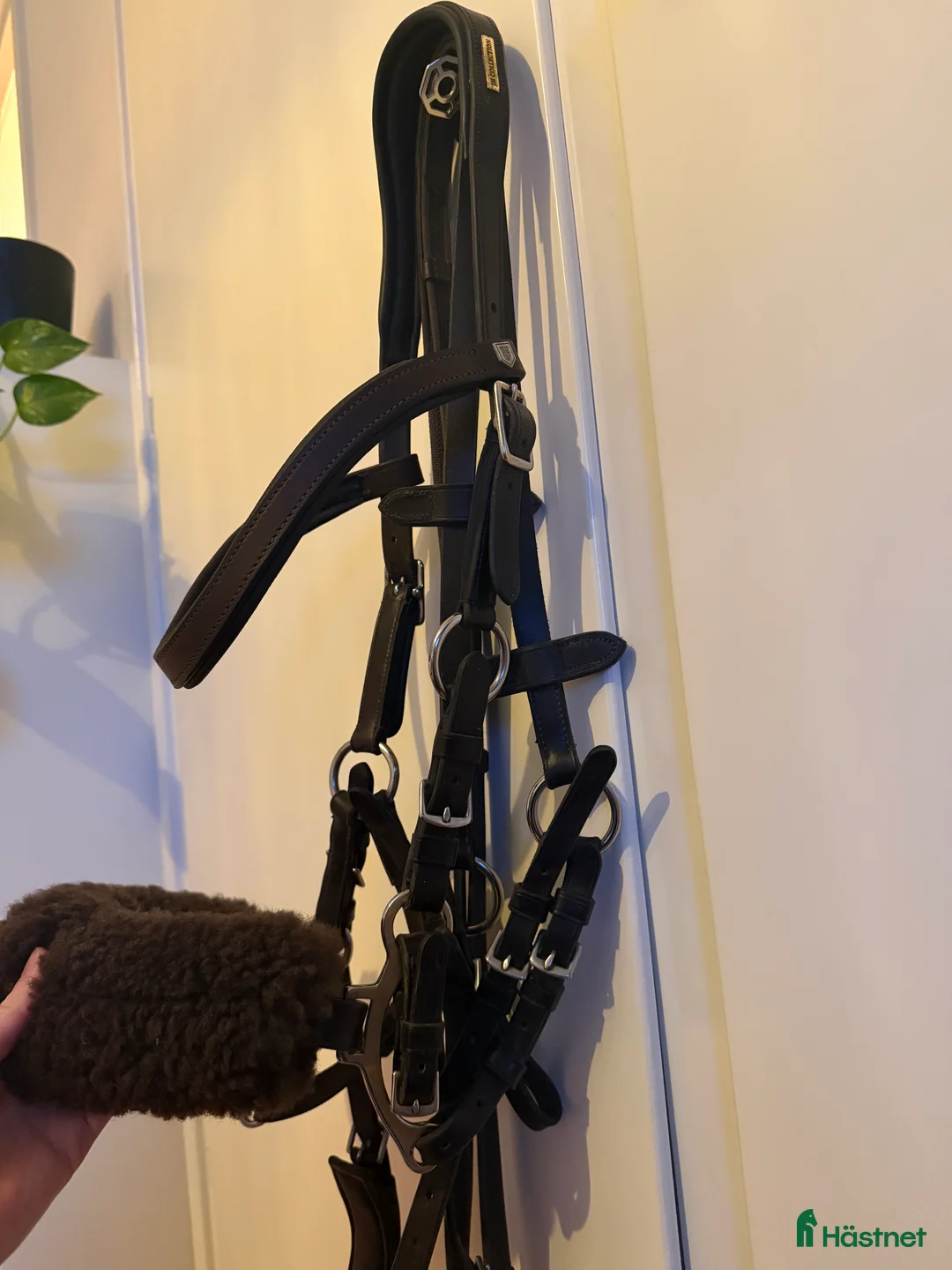 Träns hästutrustning till salu: Carl Hedin kombinationsträns  - Annons 2