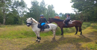  hästar i Haverdal - Annons 4