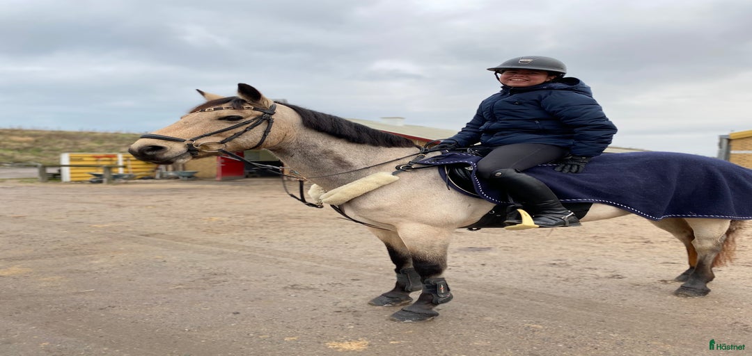 Galleribild {{count}}