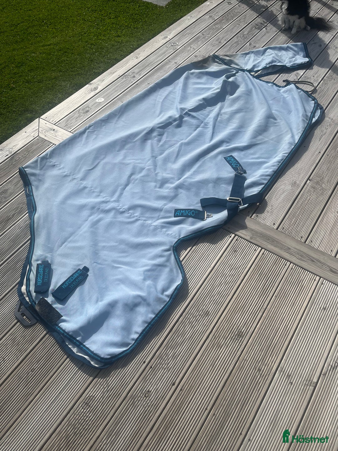 Täcken hästutrustning till salu: Amigo Eksemtäcke  i Karlskoga - Annons 1