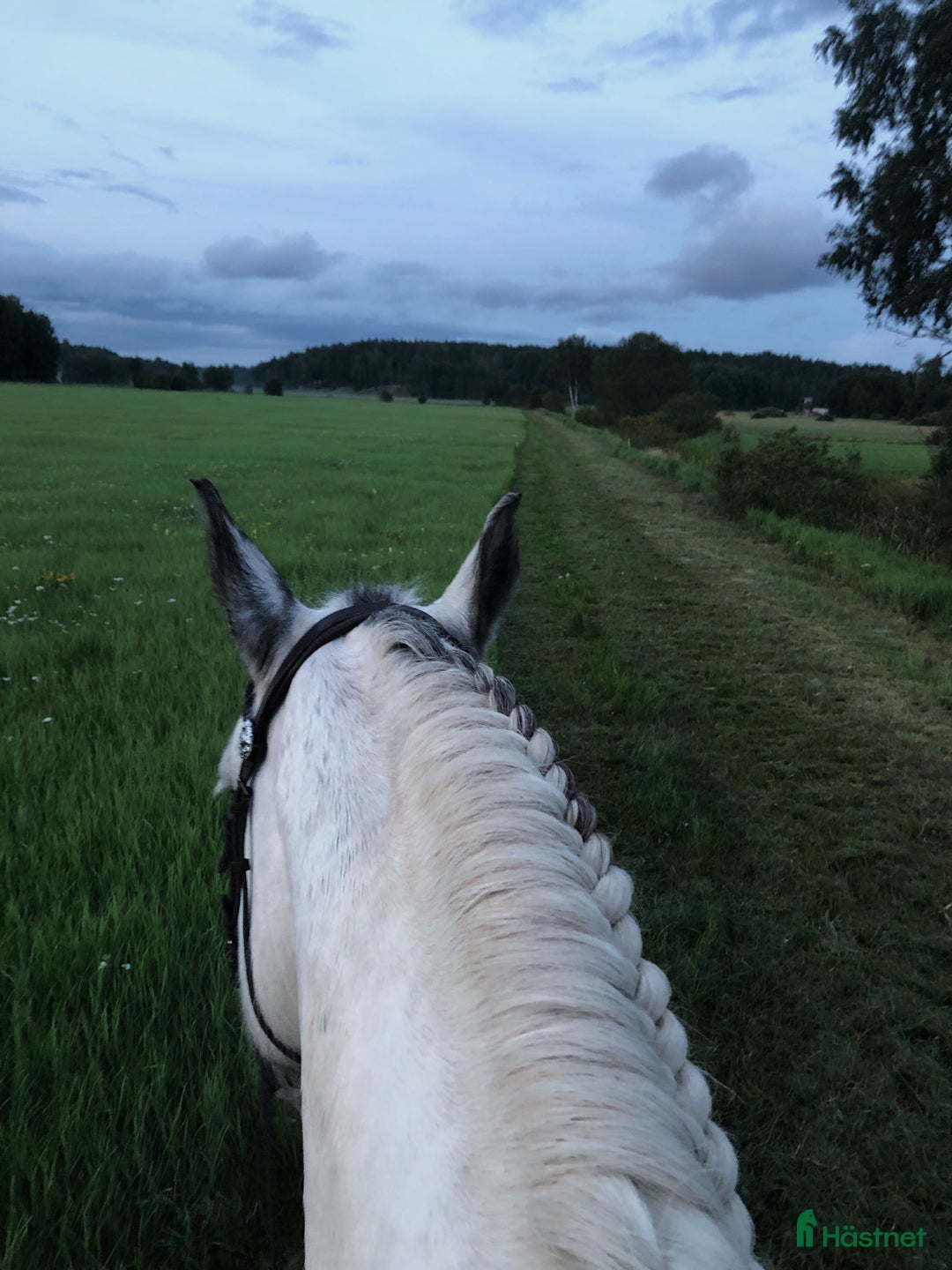  stallplats finnes: 3 boxplatser finnes i mysigt stall  i Riala - Annons 6