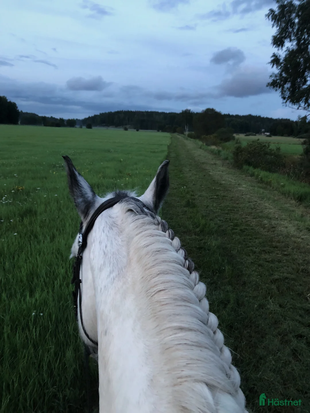  stallplats finnes: 3 boxplatser finnes i mysigt stall  i Riala - Annons 6