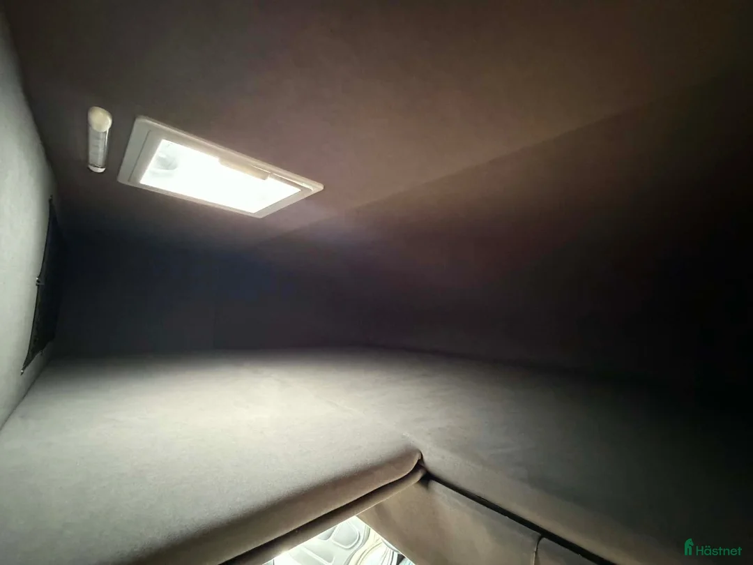 Hästlastbilar  fordon & transport till salu: PARAGAN EXCELSION 5XL STUTERI NYSKICK  - Annons 14