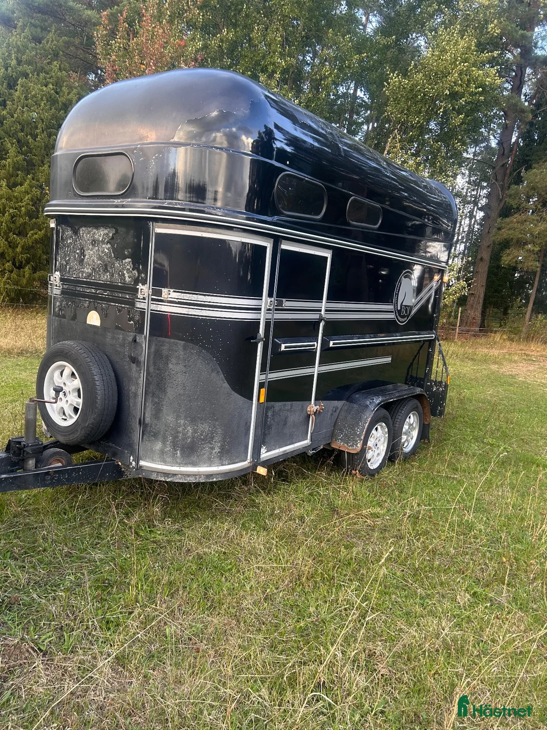 Hästtransporter  fordon & transport till salu: Boj Classic SEH - Annons 2