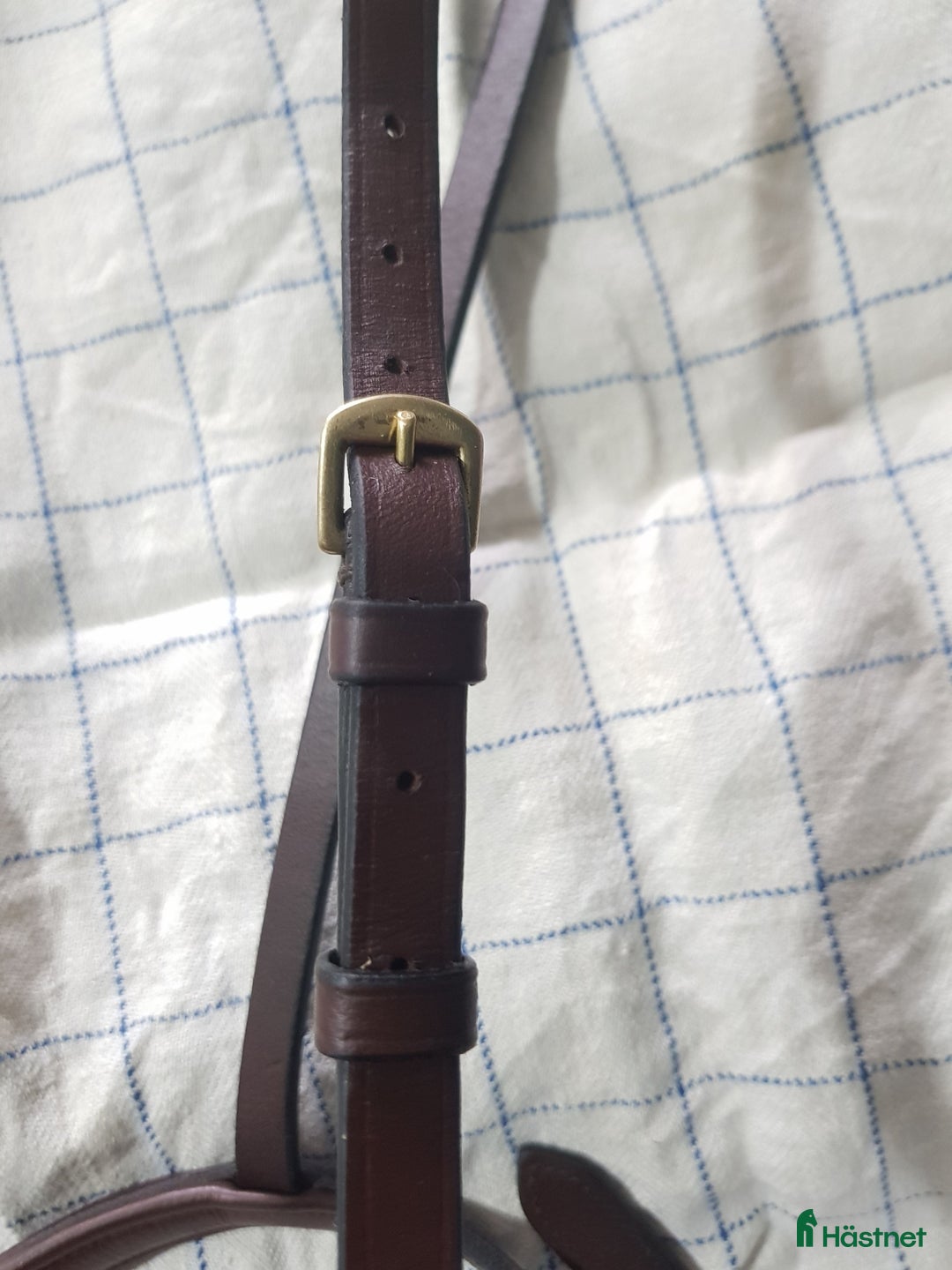 Träns hästutrustning till salu: Brun nosgrimma cob/full i Timrå - Annons 2