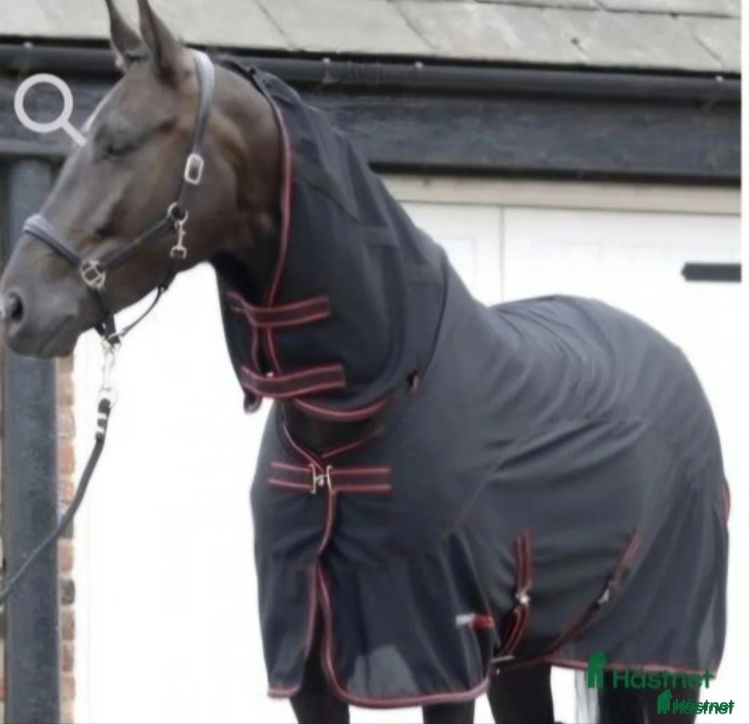Täcken hästutrustning till salu: SPAtäcke i Odensbacken - Annons 20