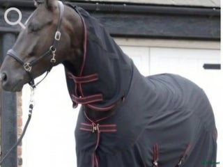 Täcken hästutrustning till salu: SPAtäcke i Odensbacken - Annons 21