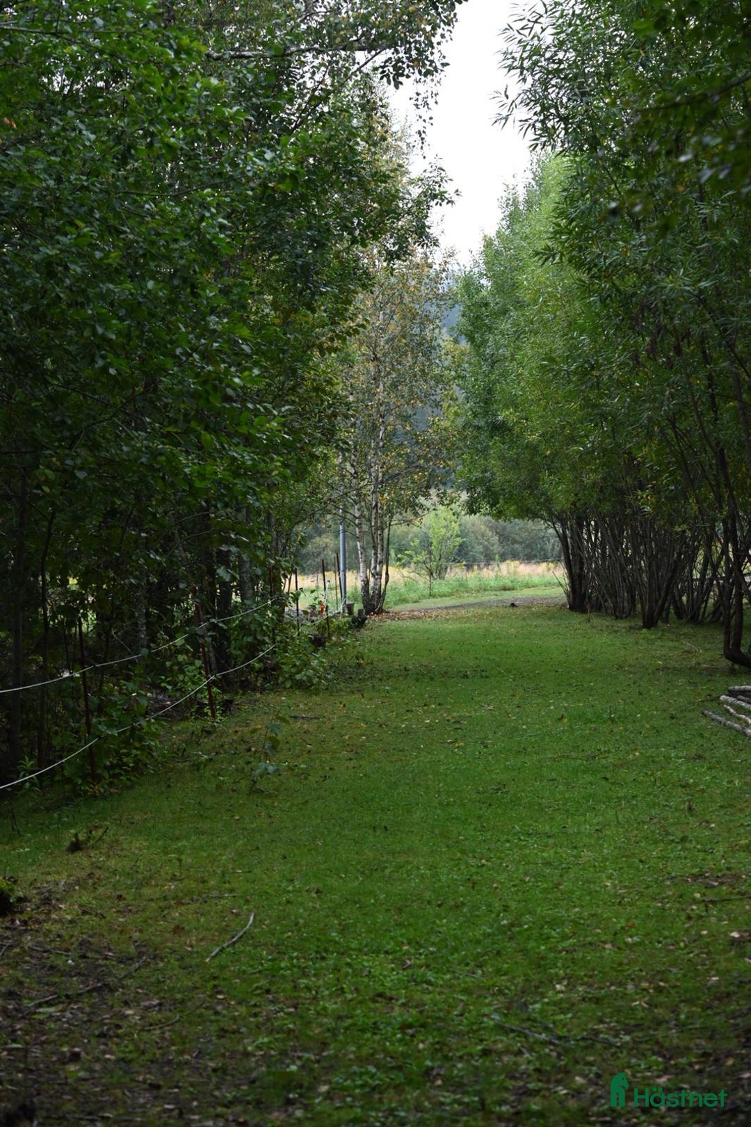  stallplats finnes: Två lediga stallplatser i kollektivstall, Karlstad i Karlstad - Annons 4