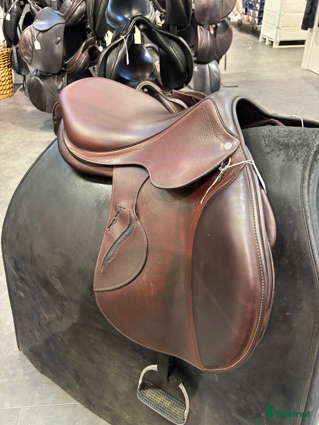 Sadlar hästutrustning till salu: Antares sadel i Lekeryd - Annons 5