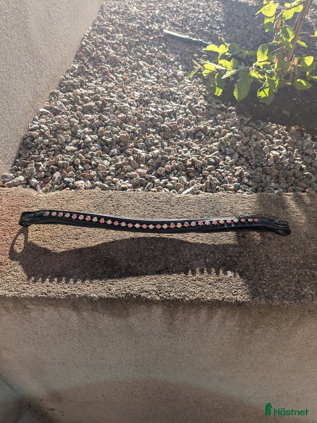 Övrig Hästutrustning hästutrustning till salu: Schabak, padd, grima och pannband till salu  - Annons 6