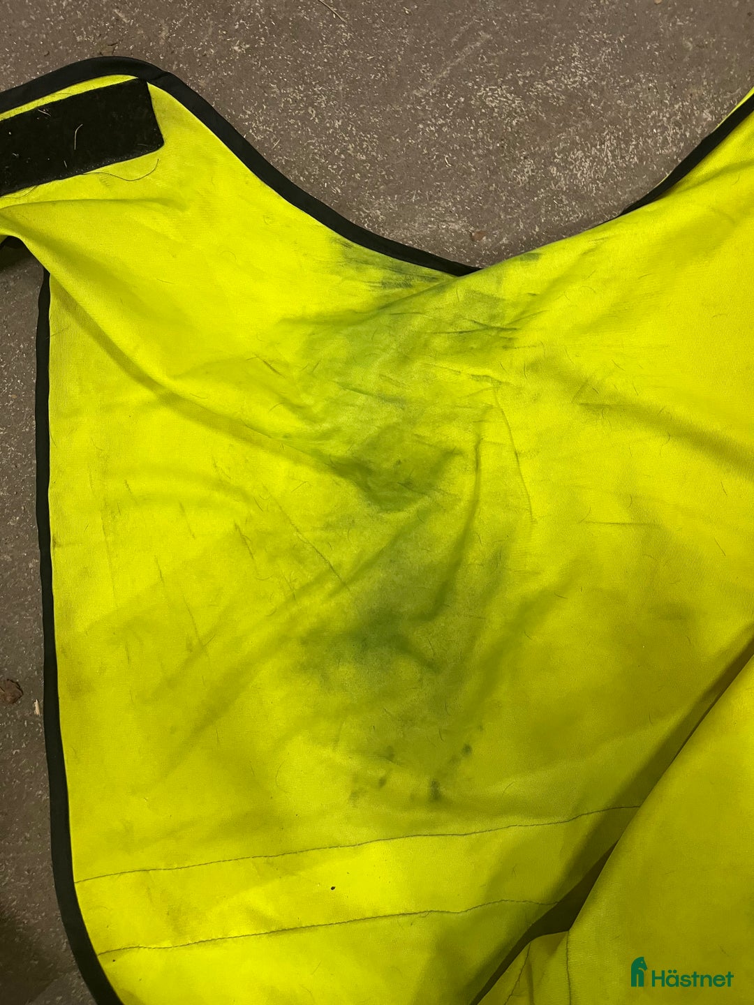 Övrig Hästutrustning hästutrustning till salu: Hästgrejer  i Umeå - Annons 7