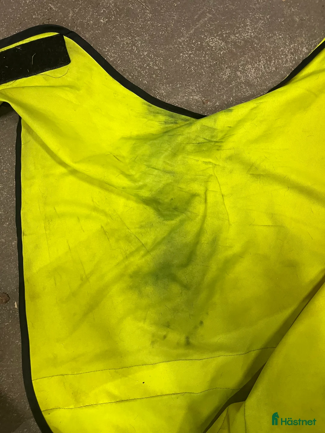 Övrig Hästutrustning hästutrustning till salu: Hästgrejer  i Umeå - Annons 7