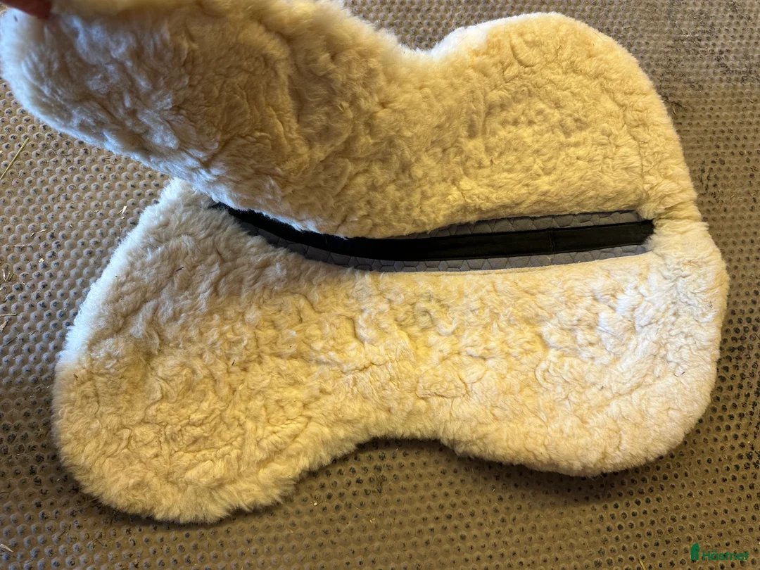 Schabrak & Vojlockar hästutrustning till salu: Mattes fårskinnspad i Köping - Annons 2