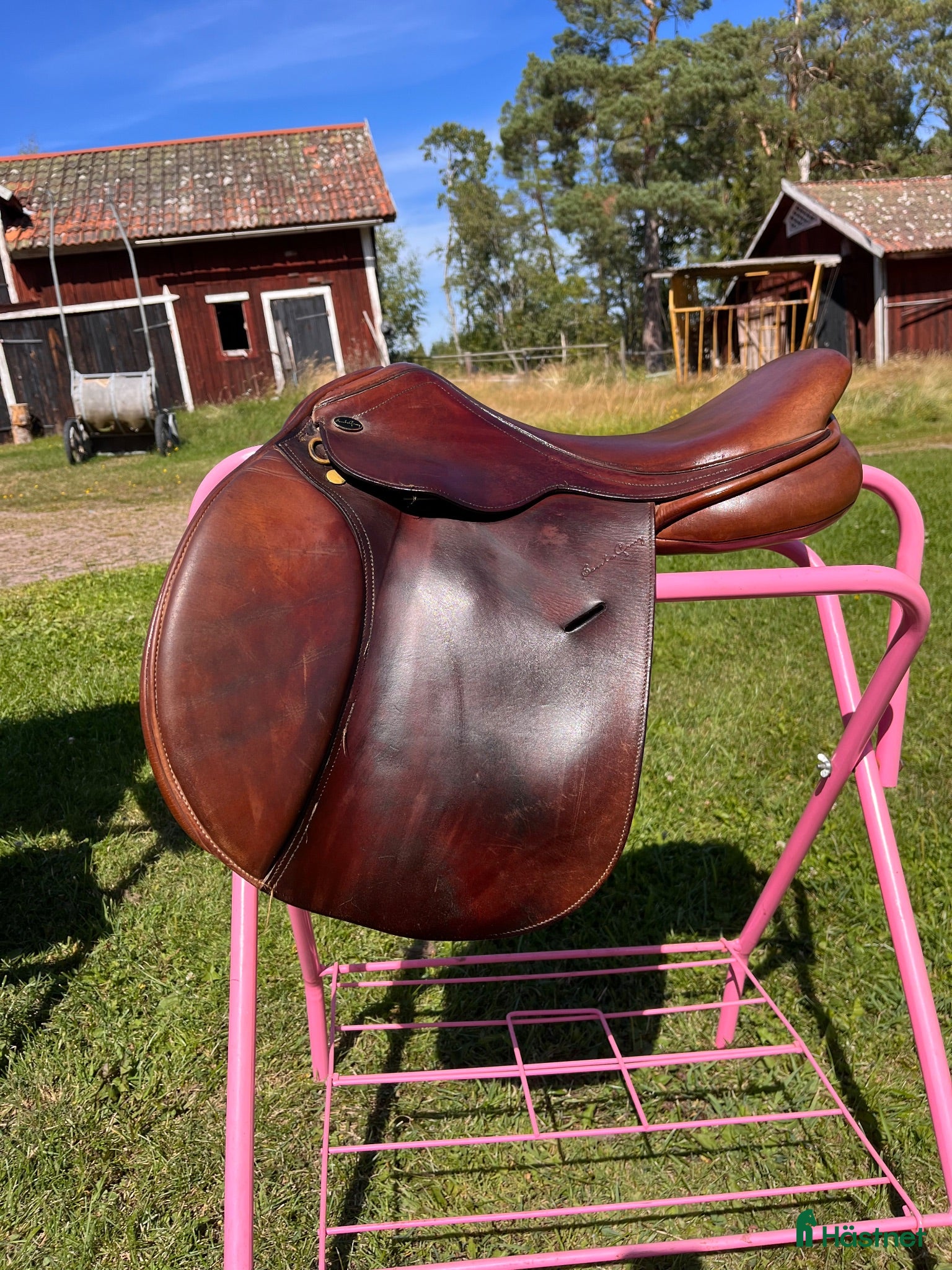 Sadlar hästutrustning Santa Cruz Celine  - Annons 12