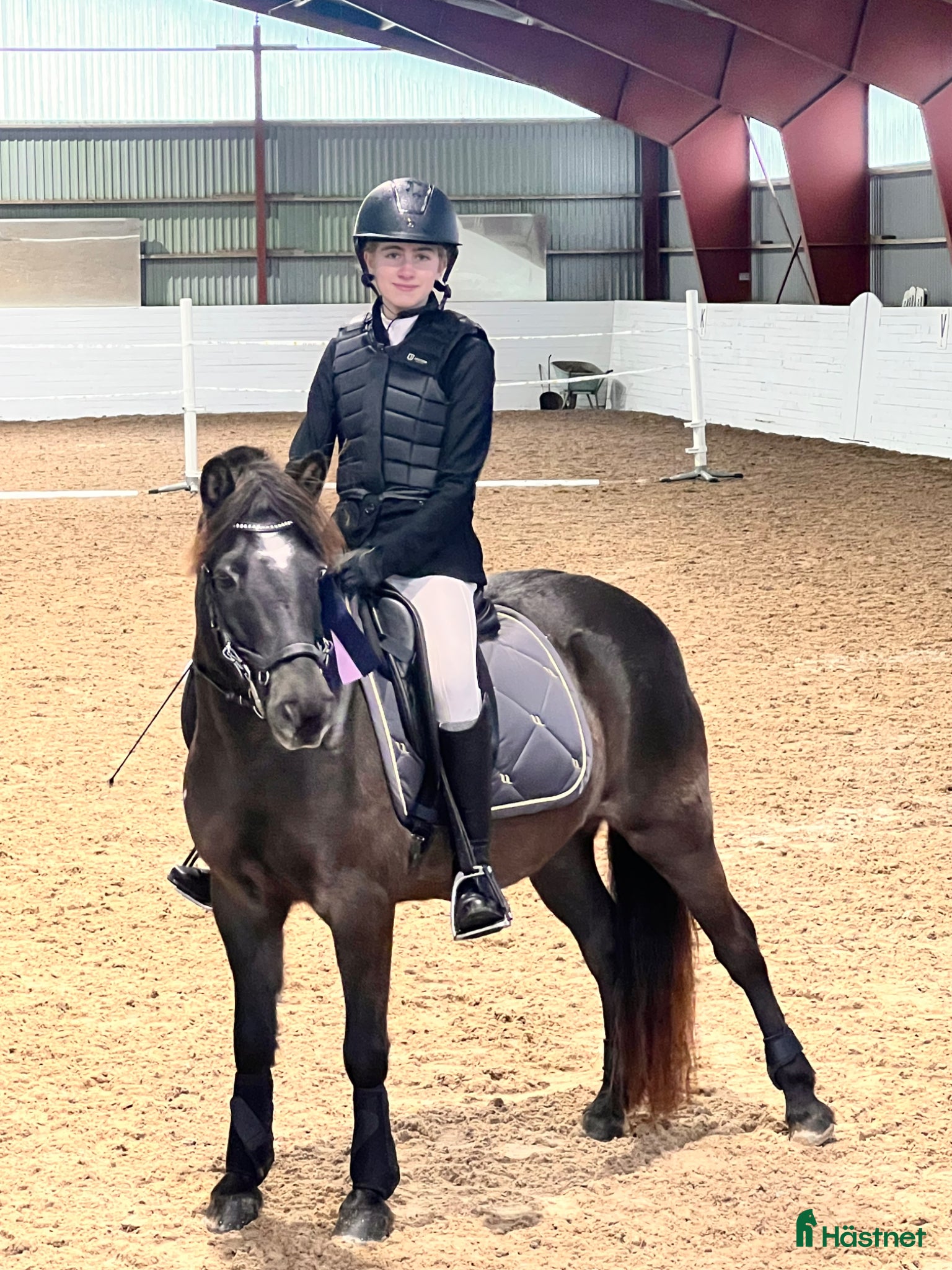  hästar Härligt Familjeruss - Annons 1