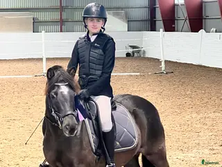 hästar Härligt Familjeruss - Annons 1