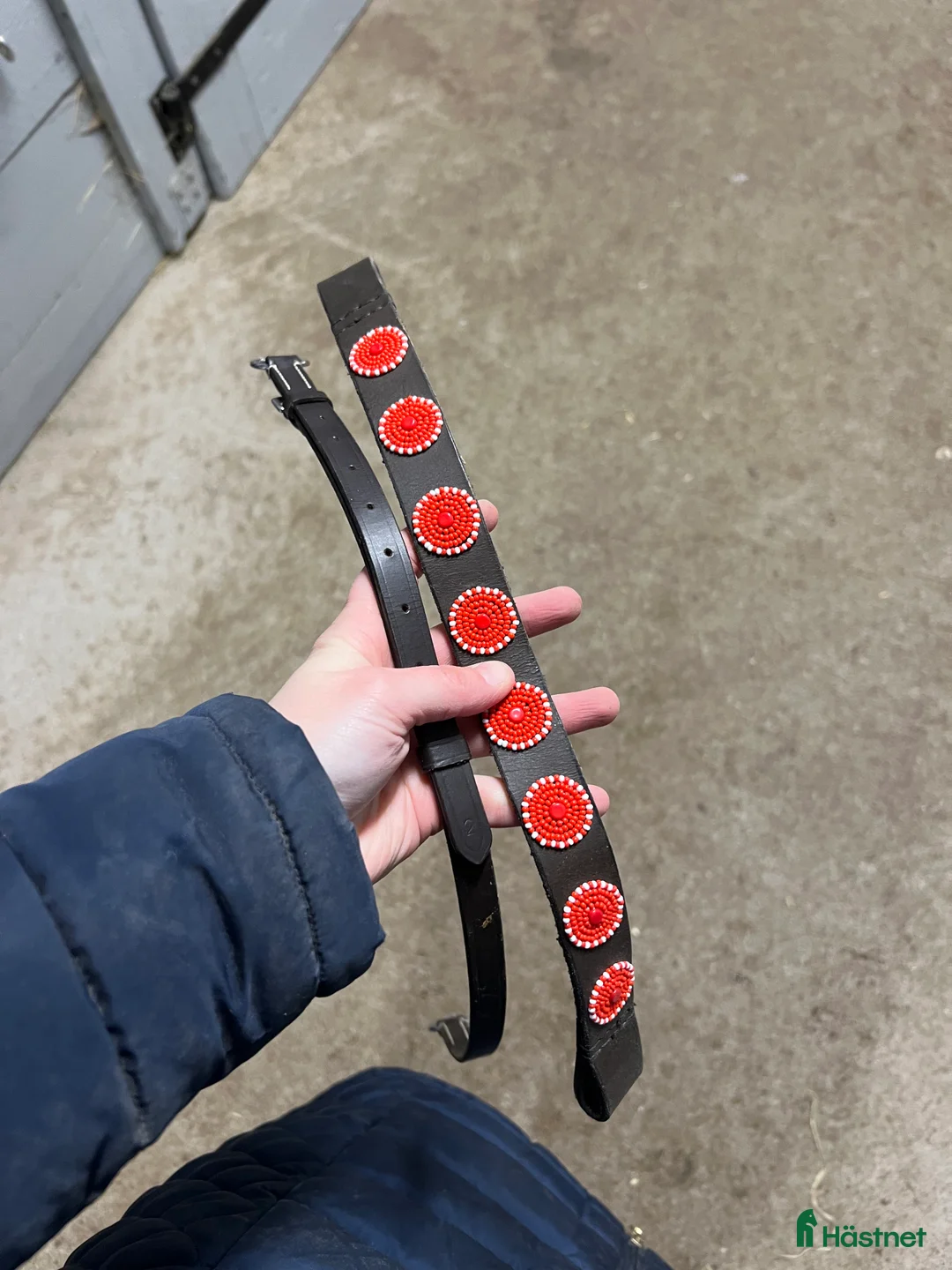 Träns hästutrustning till salu: Pannband/käkrem i Växjö - Annons 1