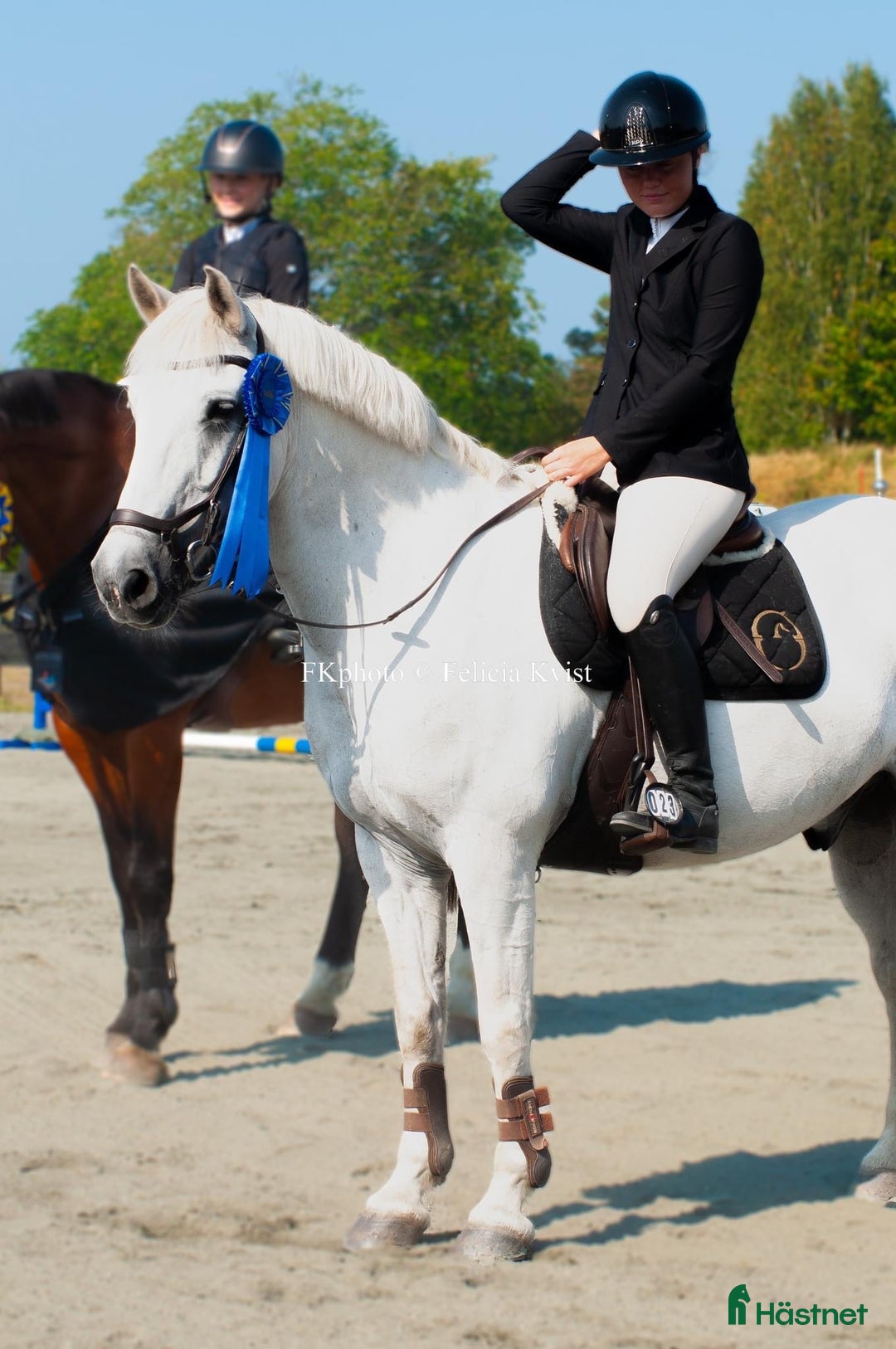 Allround hästar till salu: Självsäker mor- och dotterhäst! i Lidköping - Annons 1