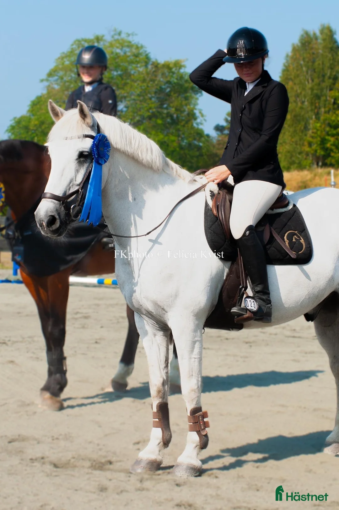 Allround hästar till salu: Världens roligaste kompis! i Lidköping - Annons 1