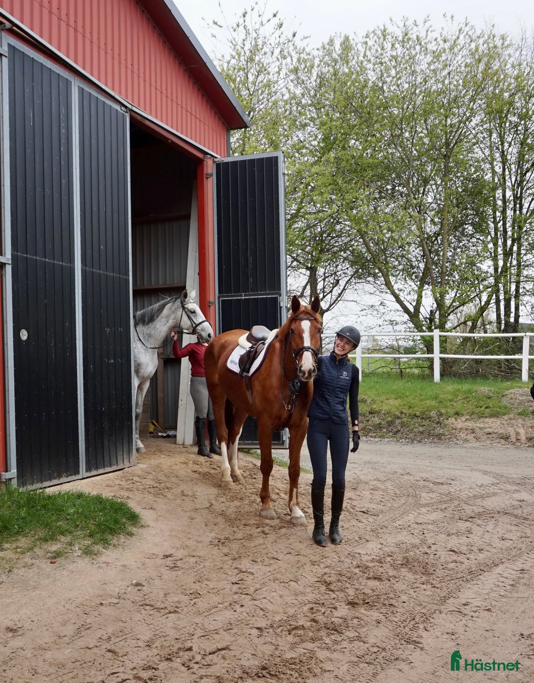 medryttarhäst sökes: 2 vuxna ryttare söker medryttarhäst - Annons 3