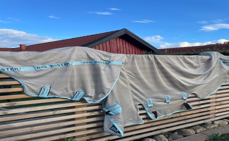 Täcken hästutrustning till salu i Jönköping - Annons 14