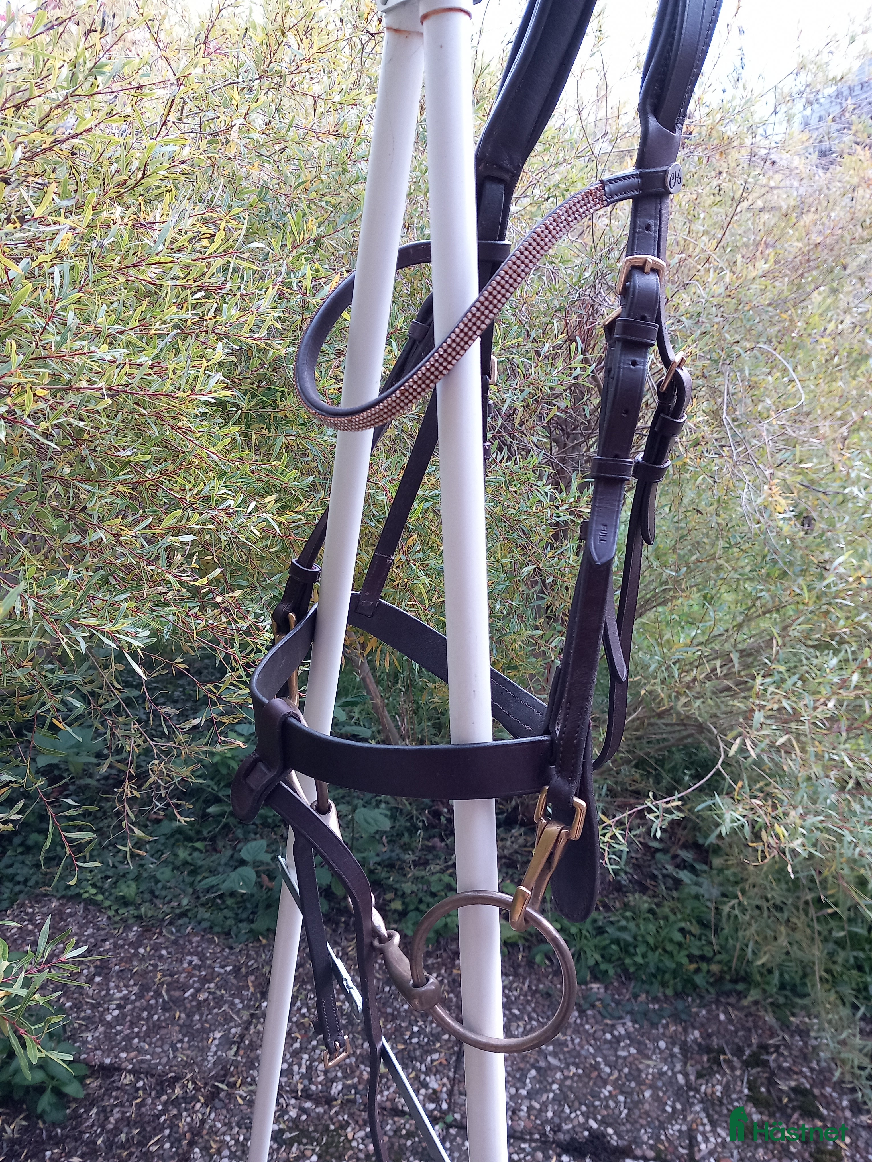 Träns hästutrustning till salu: Brunt träns Full i Uppsala - Annons 21